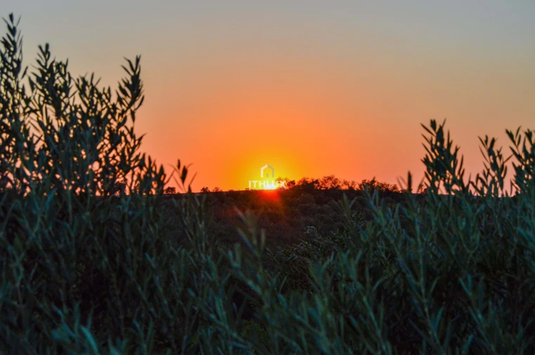Terreno Agricola ou Rústico para Venda em Assunção, Ajuda, Salvador e Santo Ildefonso Foto 15