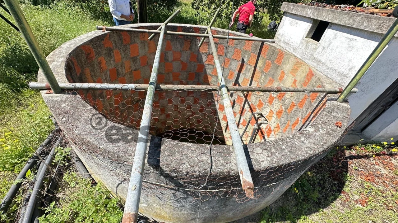 Quinta T3 para Venda em Vendas Novas Foto 8