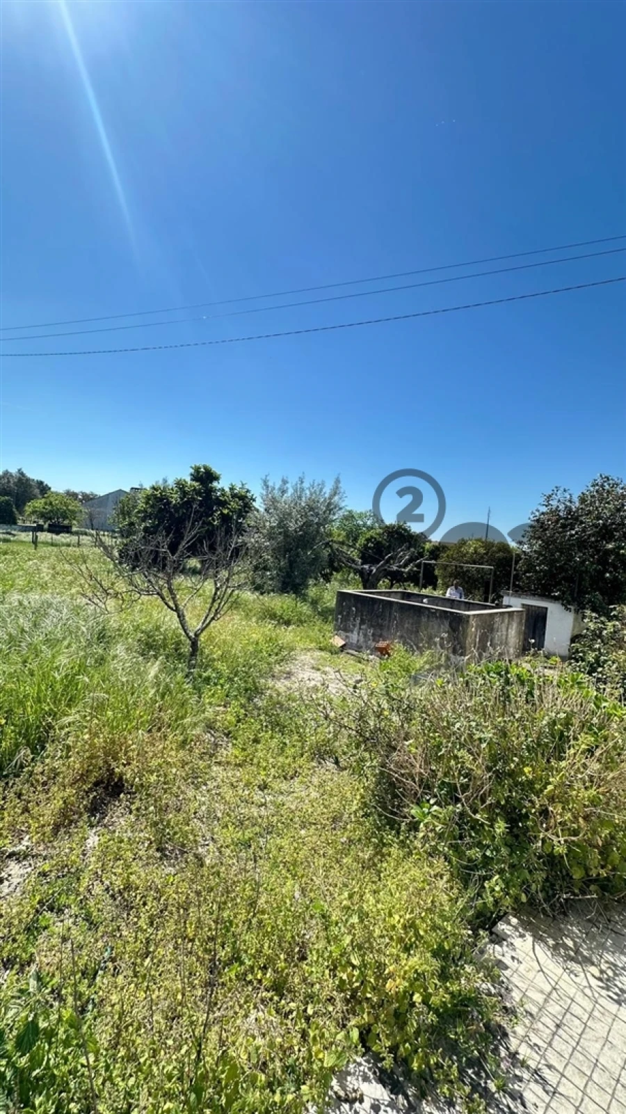 Quinta T3 para Venda em Vendas Novas Foto 4