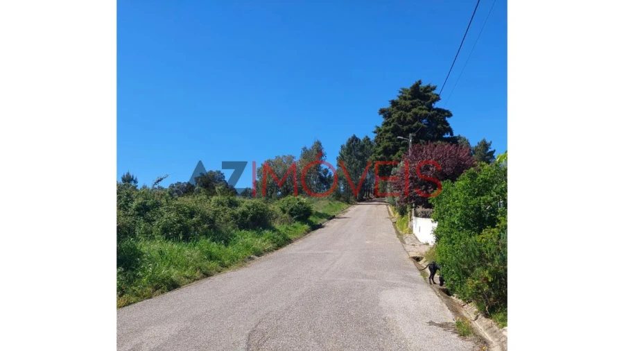 Terreno para Venda em Abrantes (São Vicente e São João) e Alferrarede Foto 10