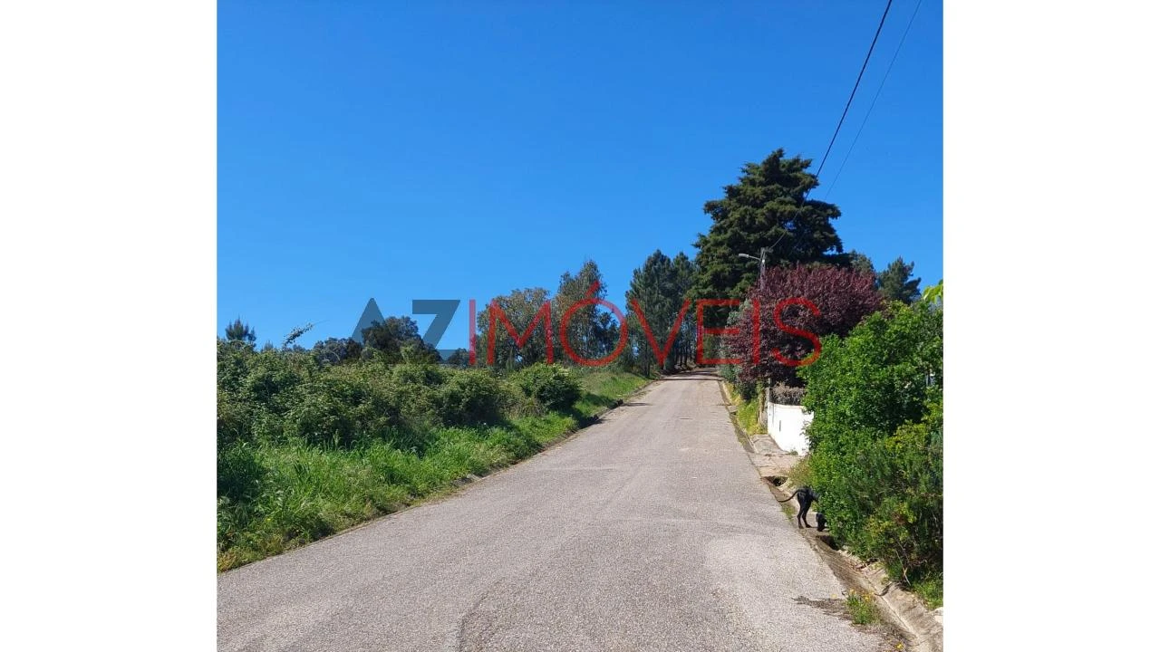 Terreno para Venda em Abrantes (São Vicente e São João) e Alferrarede Foto 11
