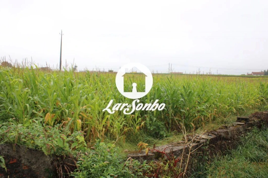 Terreno para Venda em Barqueiros Foto 1