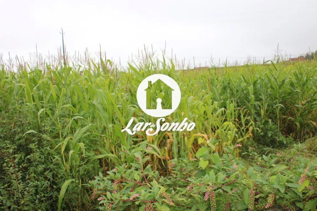 Terreno para Venda em Barqueiros Foto 3