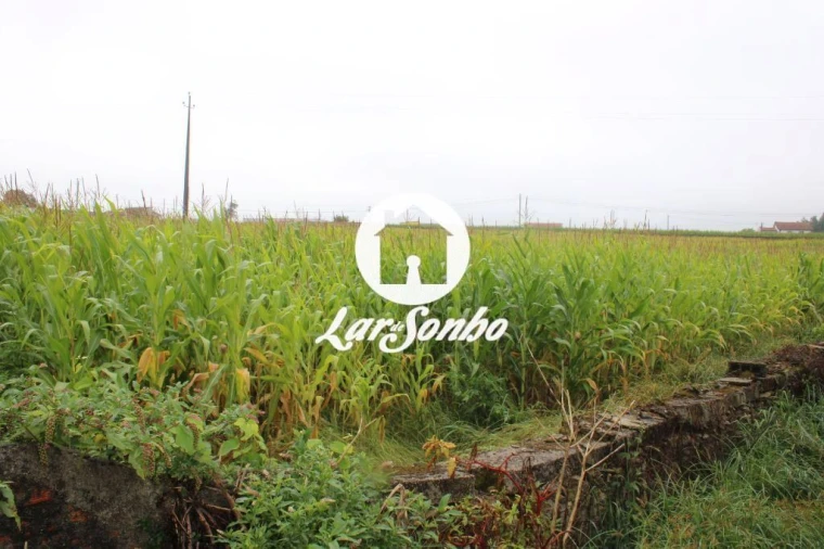 Terreno para Venda em Barqueiros Foto 1