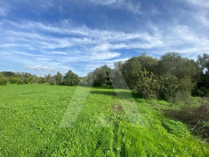 Terreno para Venda em Almancil Foto 9