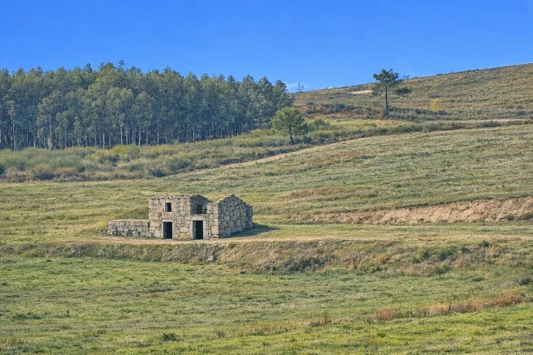 Quinta T2 para Venda em Campelo e Ovil