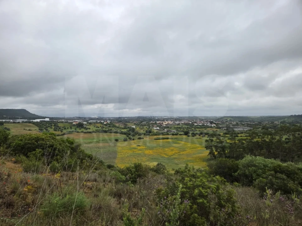 Terreno para Venda em Alcanena e Vila Moreira Foto 7