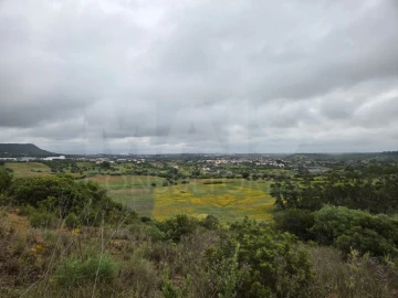 Terreno para Venda em Alcanena e Vila Moreira