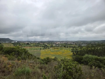 Terreno para Venda em Alcanena e Vila Moreira