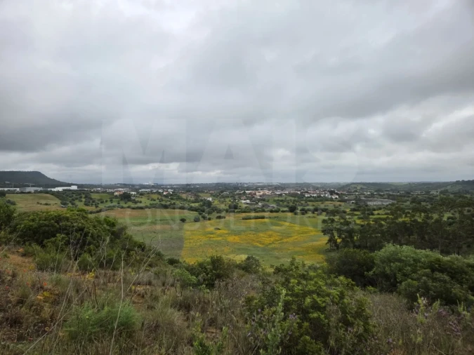 Terreno para Venda em Alcanena e Vila Moreira Foto 7