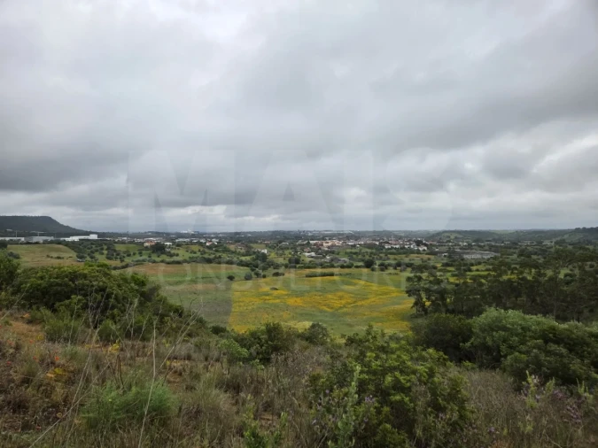 Terreno para Venda em Alcanena e Vila Moreira Foto 8