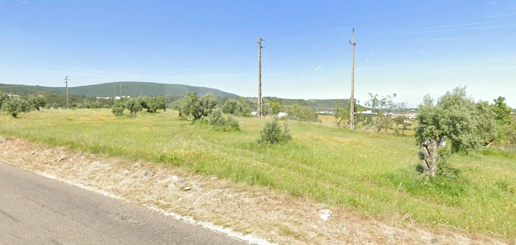 Terreno para Venda em Alcanena e Vila Moreira Foto 4