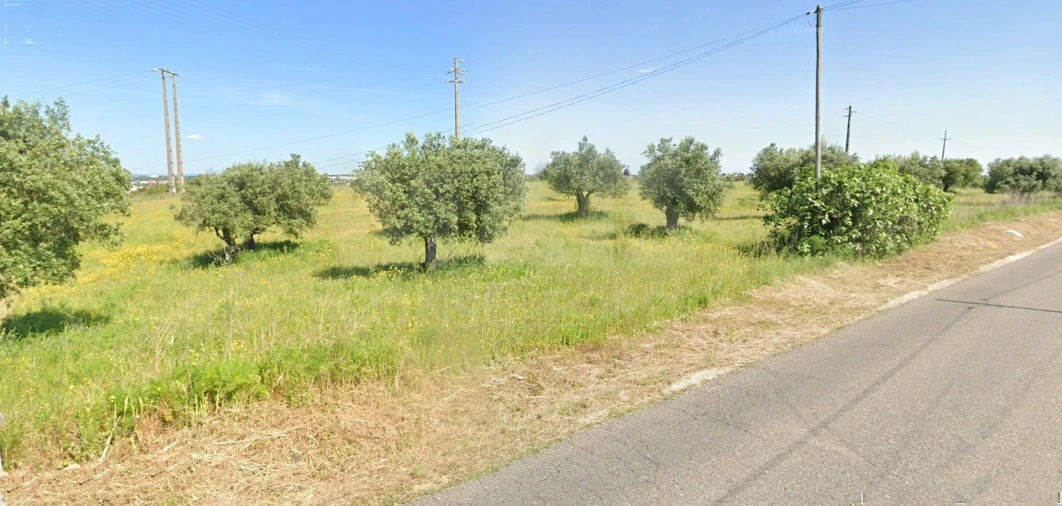 Terreno para Venda em Alcanena e Vila Moreira