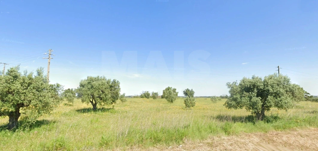 Terreno para Venda em Alcanena e Vila Moreira Foto 2