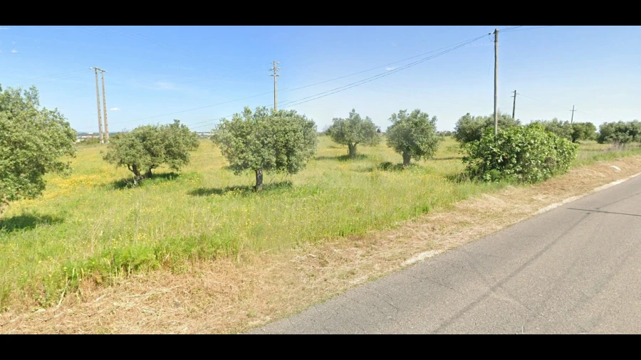 Terreno para Venda em Alcanena e Vila Moreira