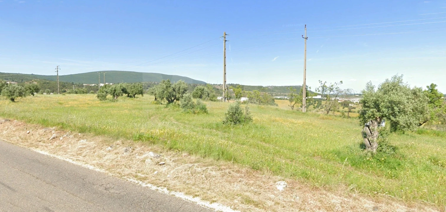 Terreno para Venda em Alcanena e Vila Moreira Foto 4