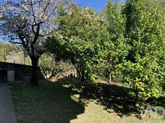 Moradia T3 para Venda em Lordelo Foto 34