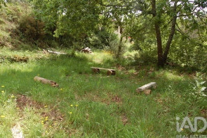 Moradia para Venda em Figueiró dos Vinhos e Bairradas