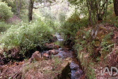 Moradia para Venda em Figueiró dos Vinhos e Bairradas