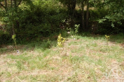 Moradia para Venda em Figueiró dos Vinhos e Bairradas