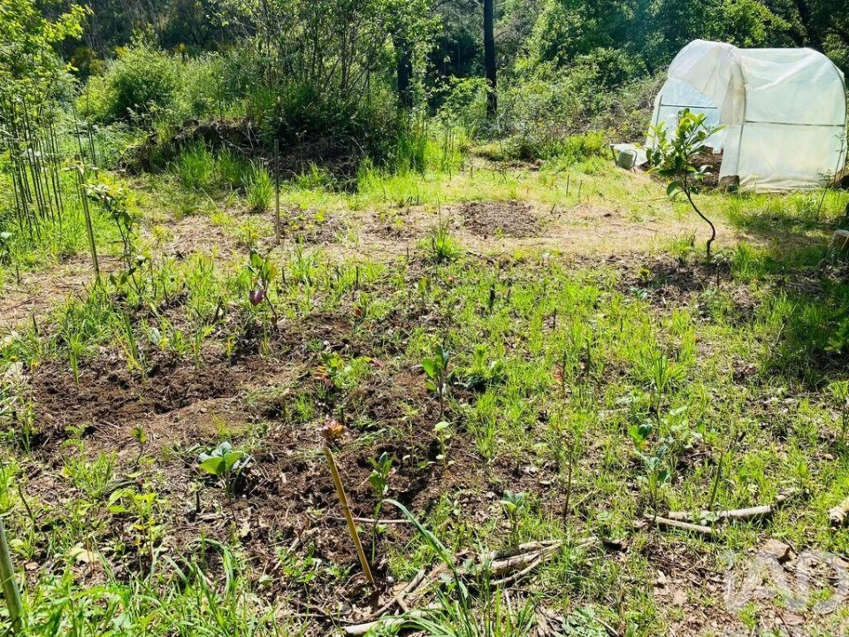 Moradia para Venda em Figueiró dos Vinhos e Bairradas Foto 16