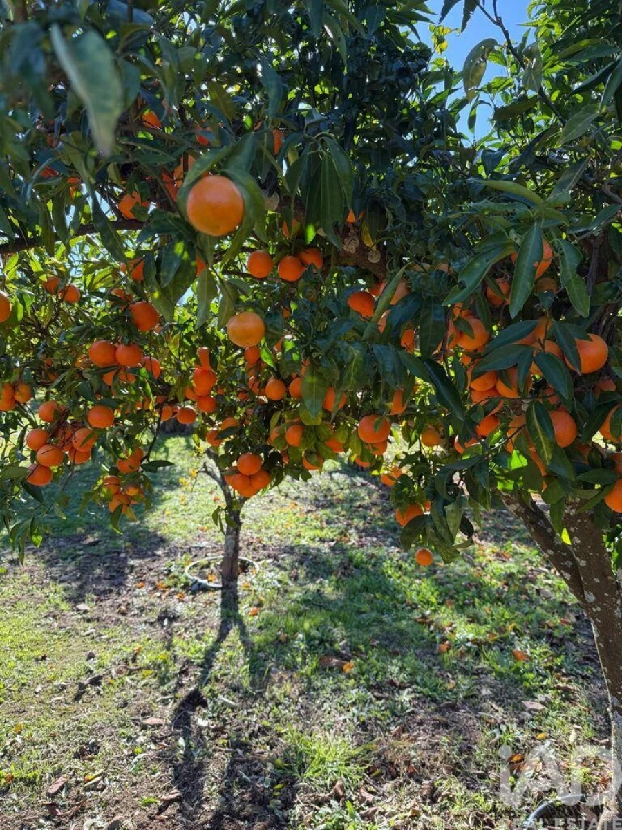 Quinta T2 para Venda em Fortios Foto 6