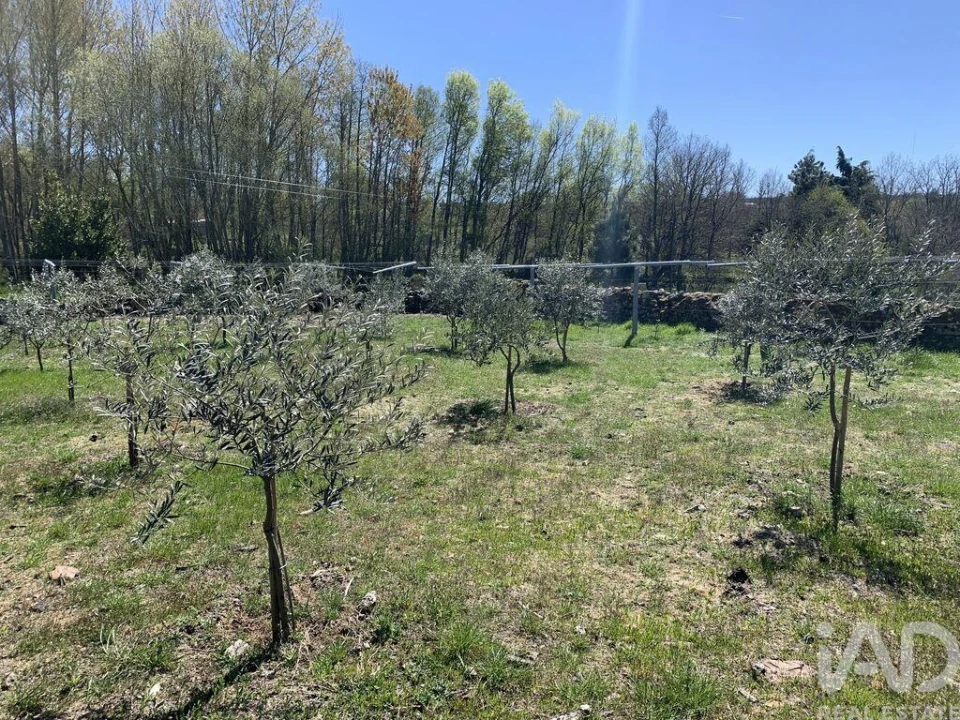 Moradia para Venda em Vila Chã Foto 23