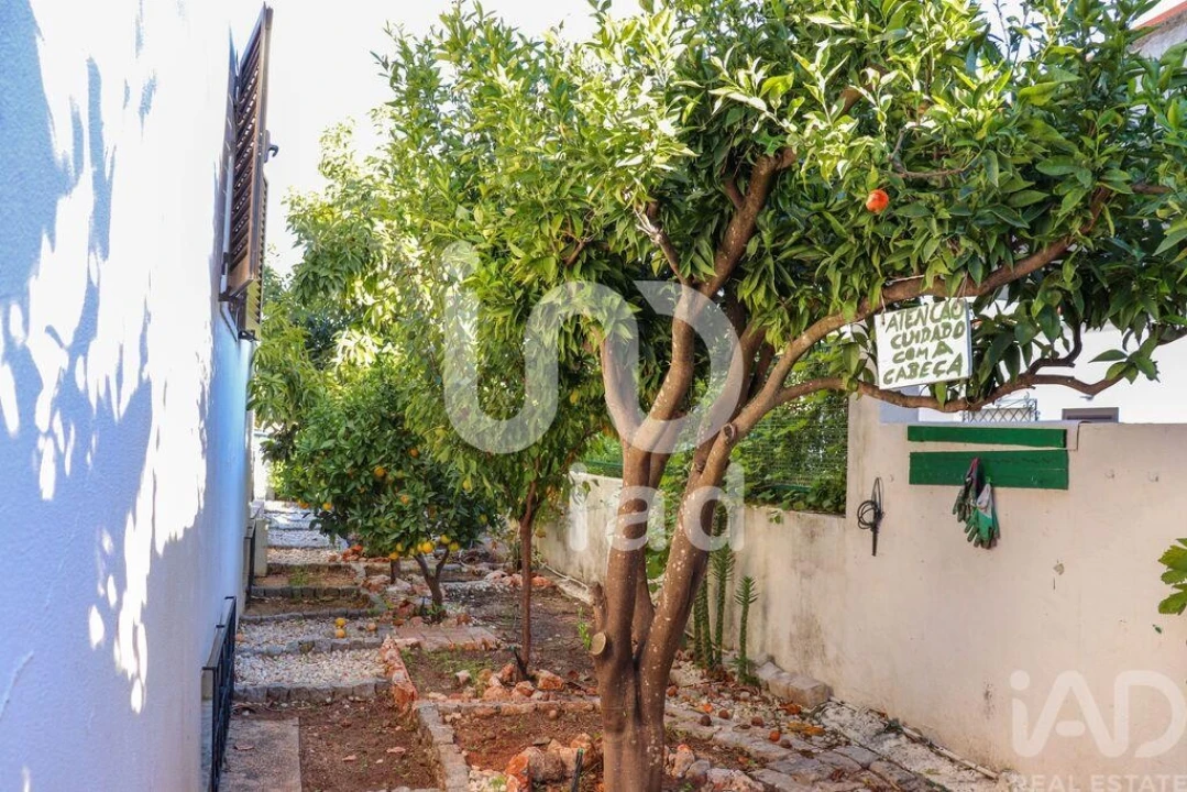 Moradia T4 para Venda em Montenegro Foto 7