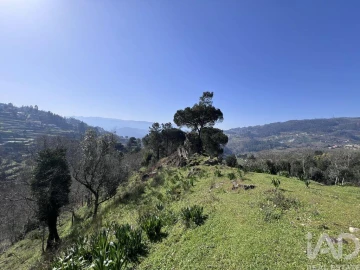 Moradia T2 para Venda em Baião (Santa Leocádia) e Mesquinhata