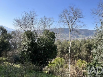 Moradia T2 para Venda em Baião (Santa Leocádia) e Mesquinhata