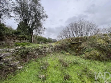 Moradia T2 para Venda em Baião (Santa Leocádia) e Mesquinhata