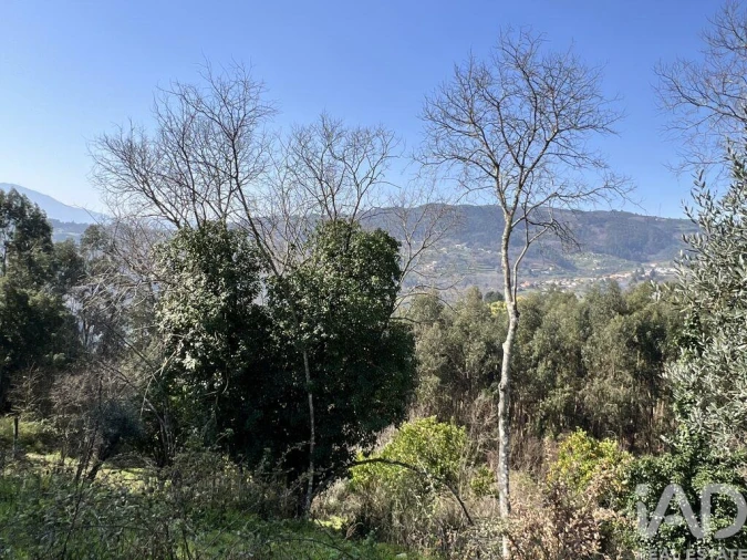 Moradia T2 para Venda em Baião (Santa Leocádia) e Mesquinhata Foto 27