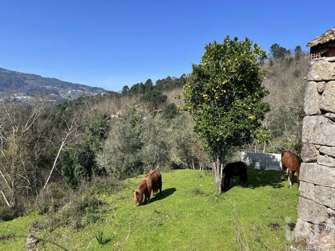 Moradia T2 para Venda em Baião (Santa Leocádia) e Mesquinhata Foto 17