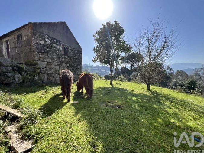 Moradia T2 para Venda em Baião (Santa Leocádia) e Mesquinhata Foto 30