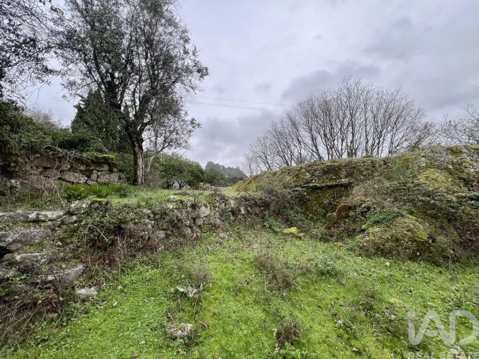 Moradia T2 para Venda em Baião (Santa Leocádia) e Mesquinhata Foto 11
