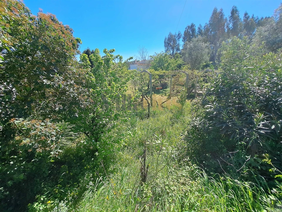 Moradia T2 para Venda em Casais e Alviobeira Foto 7