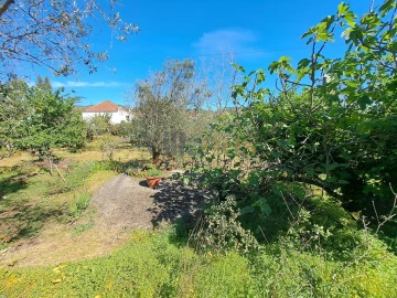 Moradia T2 para Venda em Casais e Alviobeira