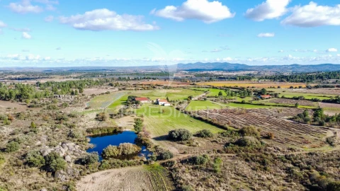 Quinta T5 para Venda em Coriscada