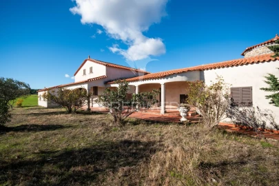 Quinta T5 para Venda em Coriscada