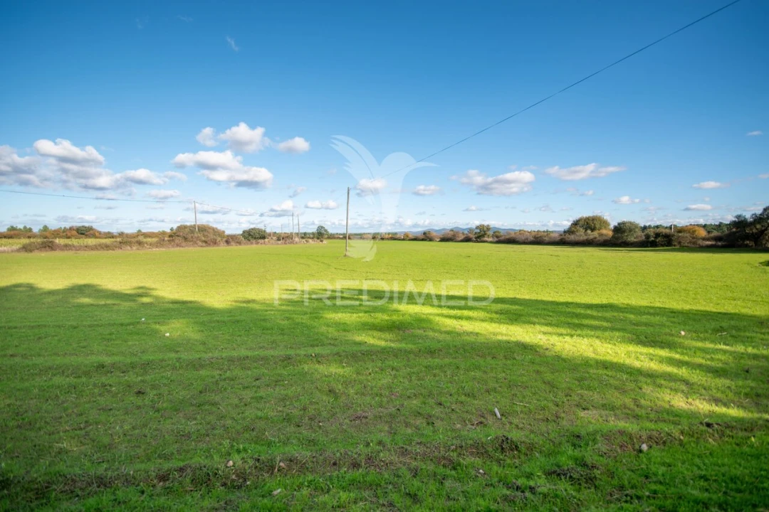 Quinta T5 para Venda em Coriscada Foto 26