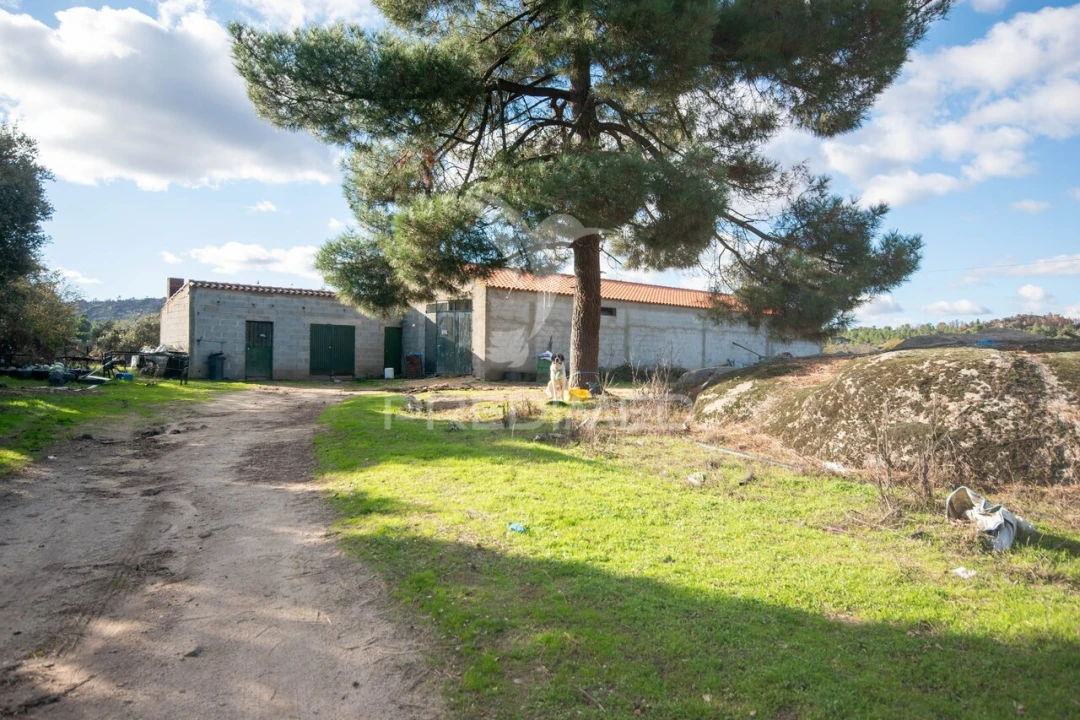 Quinta T5 para Venda em Coriscada Foto 10