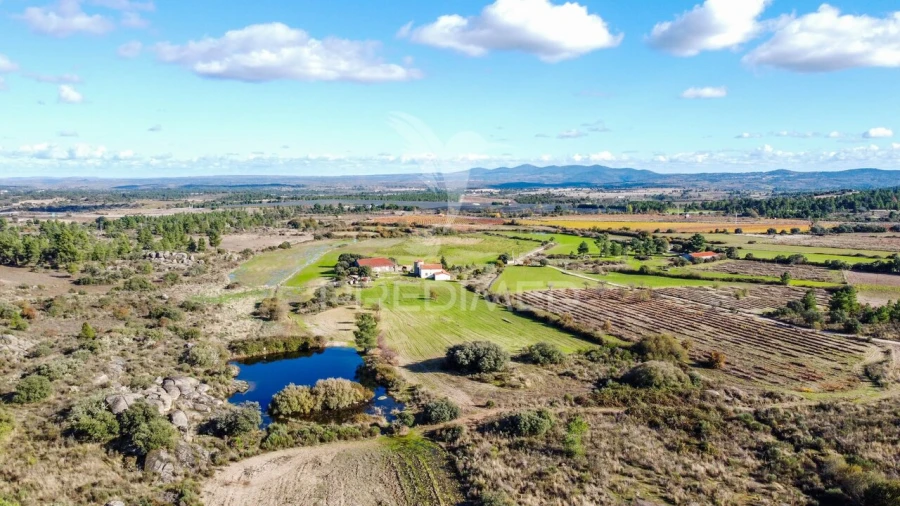 Quinta T5 para Venda em Coriscada Foto 6