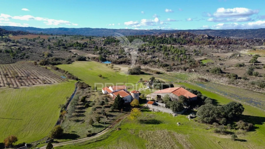 Quinta T5 para Venda em Coriscada Foto 3