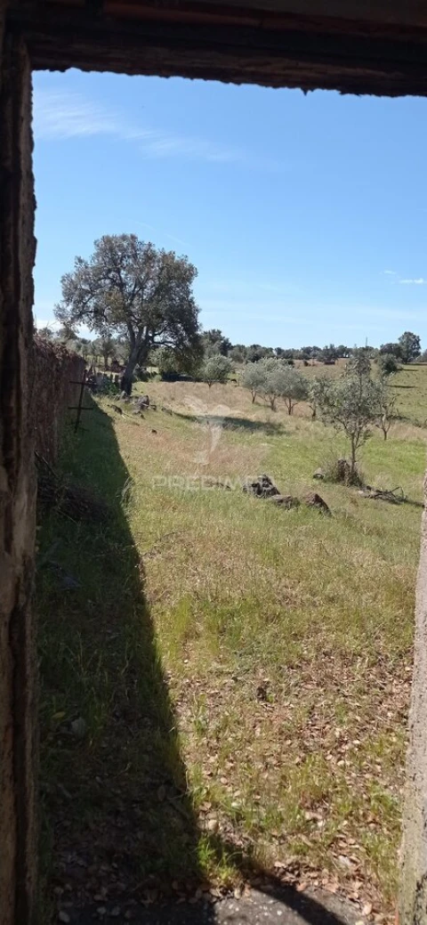 Quinta T3 para Venda em Monte da Pedra
