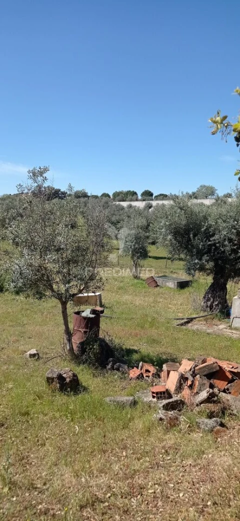 Quinta T3 para Venda em Monte da Pedra