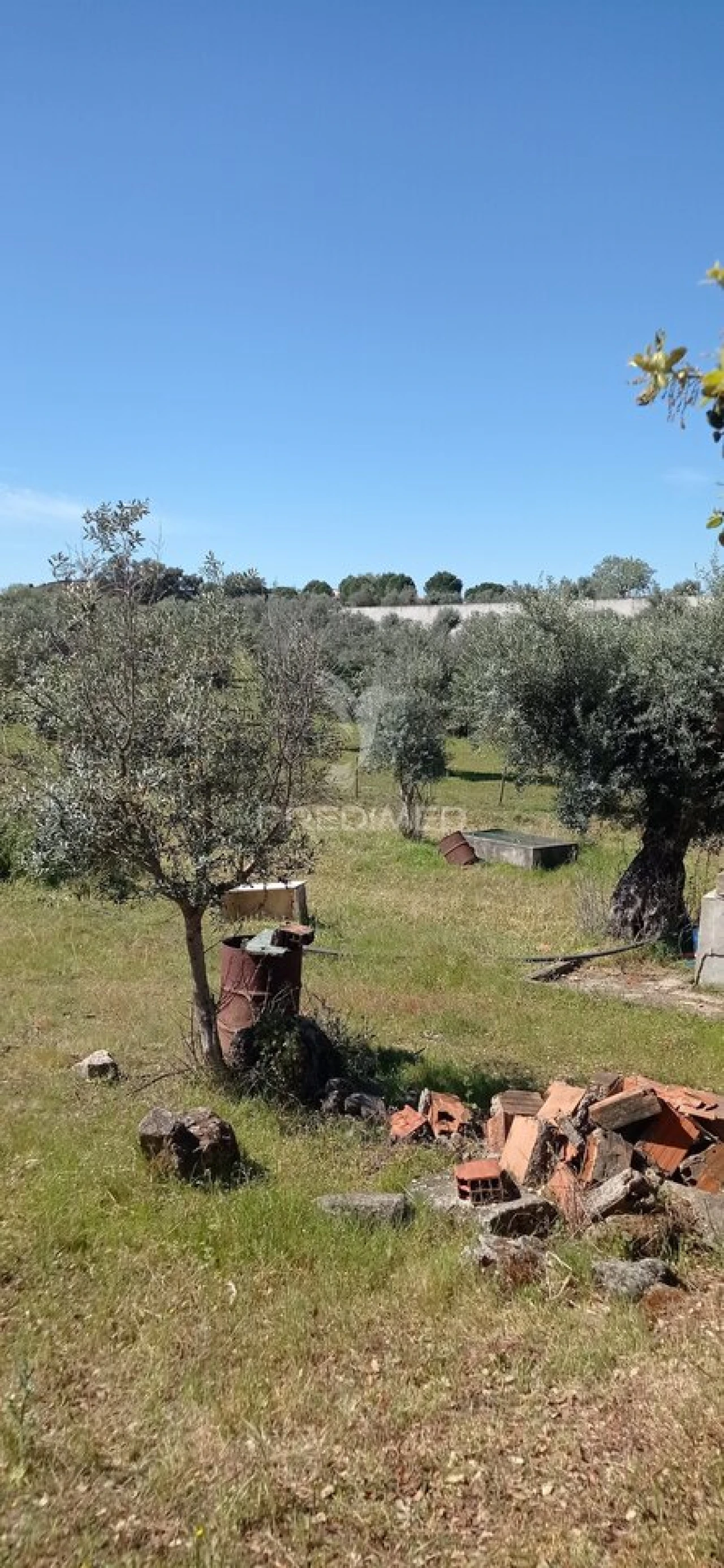 Quinta T3 para Venda em Monte da Pedra Foto 15