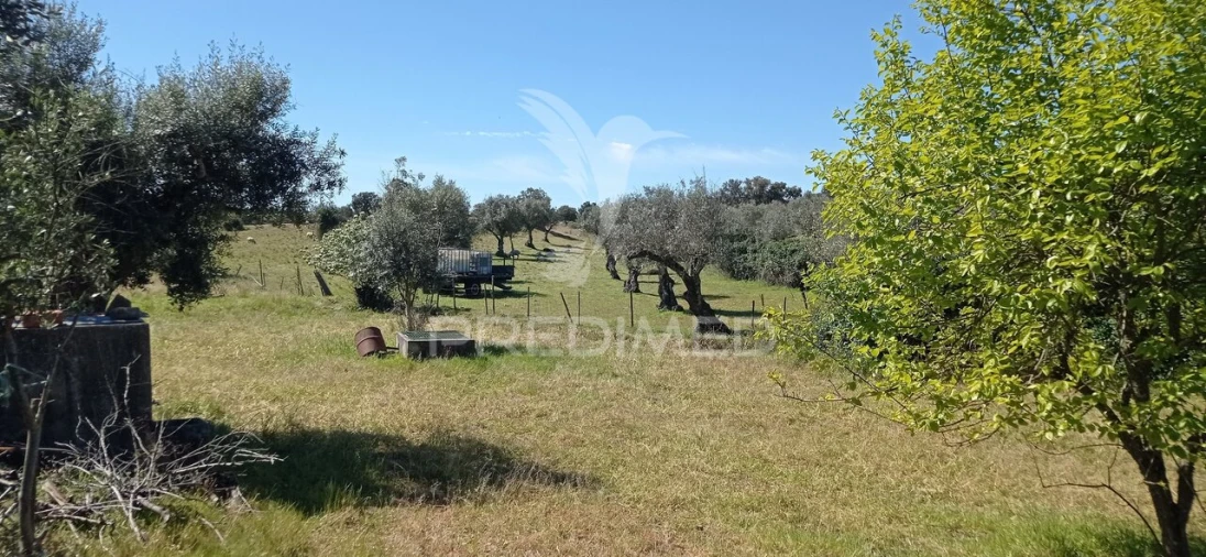 Quinta T3 para Venda em Monte da Pedra Foto 17