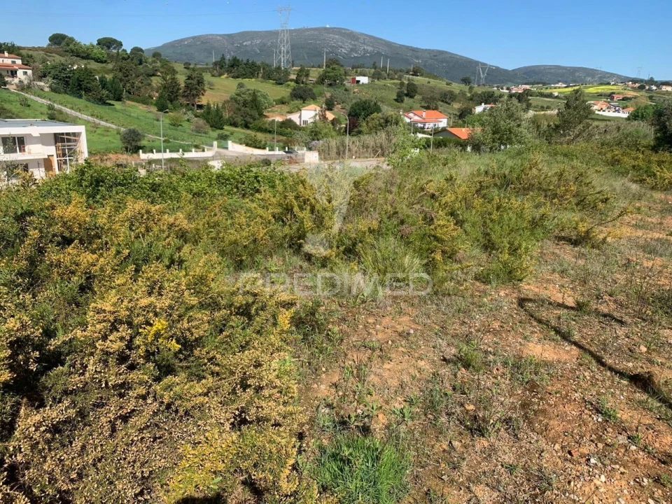 Terreno para Venda em Abrigada e Cabanas de Torres Foto 2