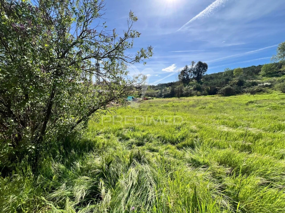 Terreno para Venda em Carvalhais Foto 3