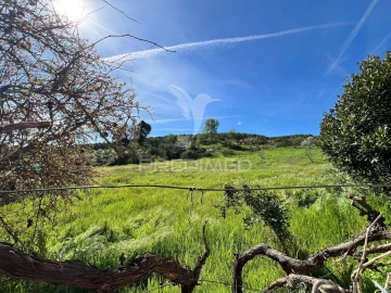 Terreno para Venda em Carvalhais